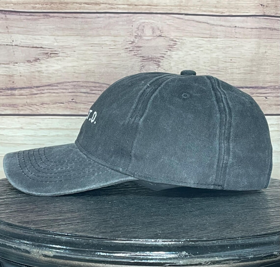 What Would Jesus Do | LC Elizabeth Original | Embroidered Unstructured Dad Hat