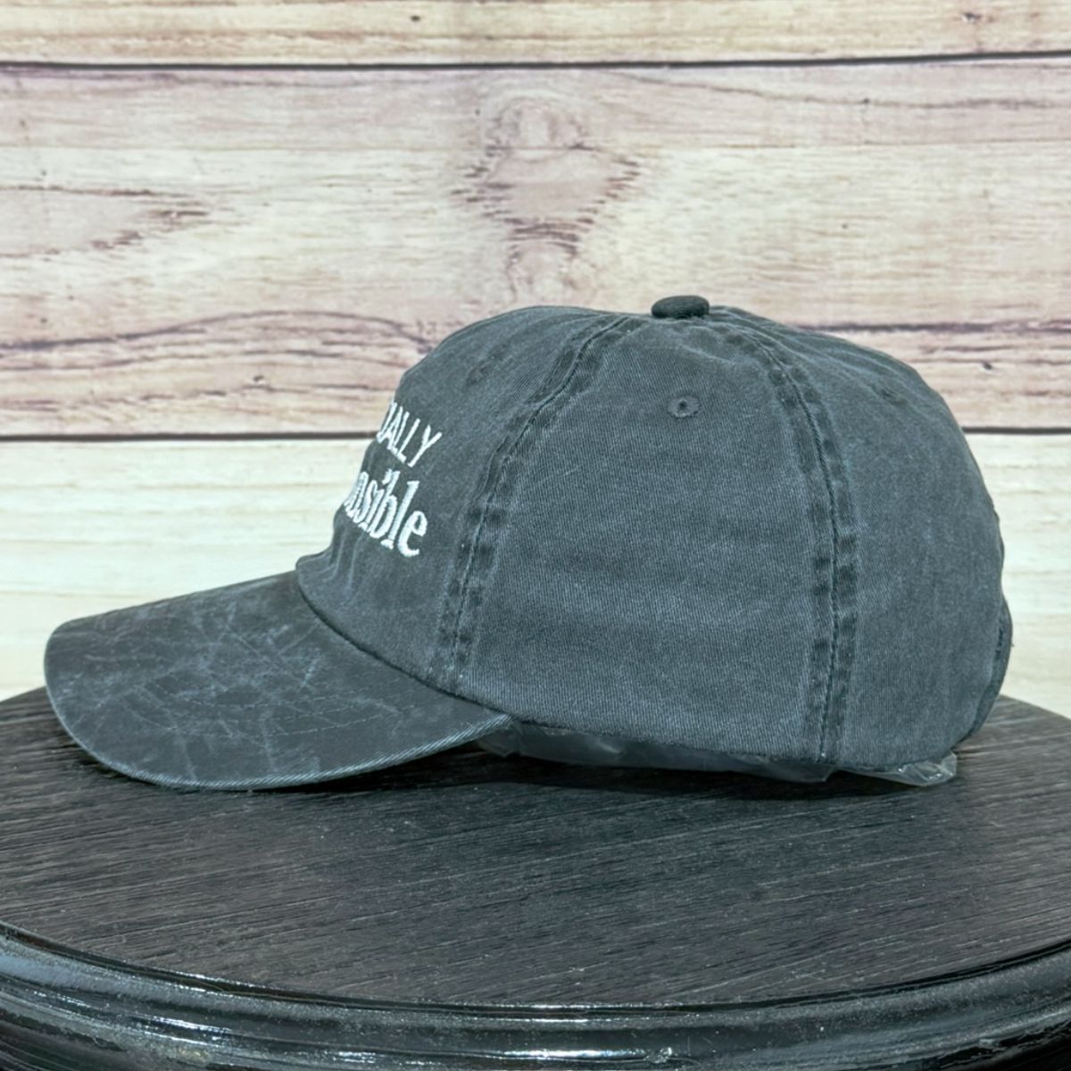 Financially Irresponsible | LC Elizabeth Original | Embroidered Hat