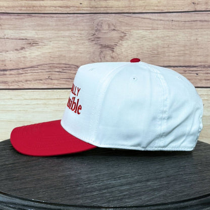 Financially Irresponsible | LC Elizabeth Original | Embroidered Hat